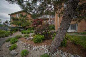 Picture of the front of the Lambton Meadowview Villa